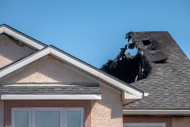 Top rated local Soot Cleanup specialists in Riverview, FL